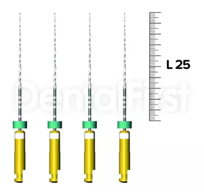 G-Files Rotary Giriş Eğesi 6'lı 25mm. - 5
