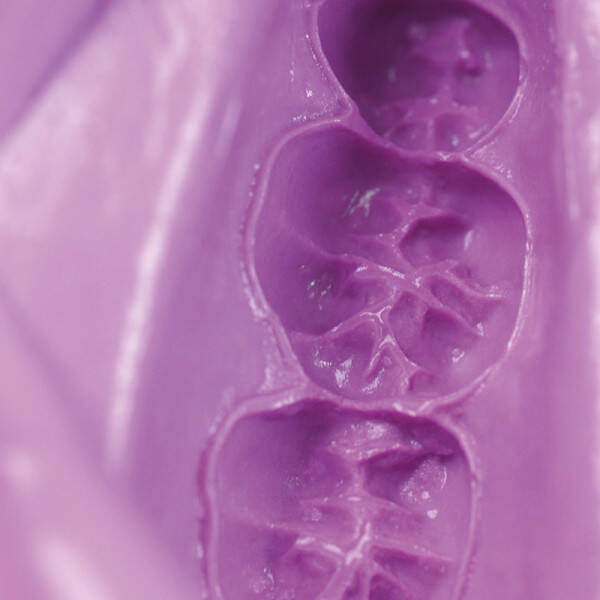  Hydrogum 5 Extra Fast Aljinat 453gr. - 3