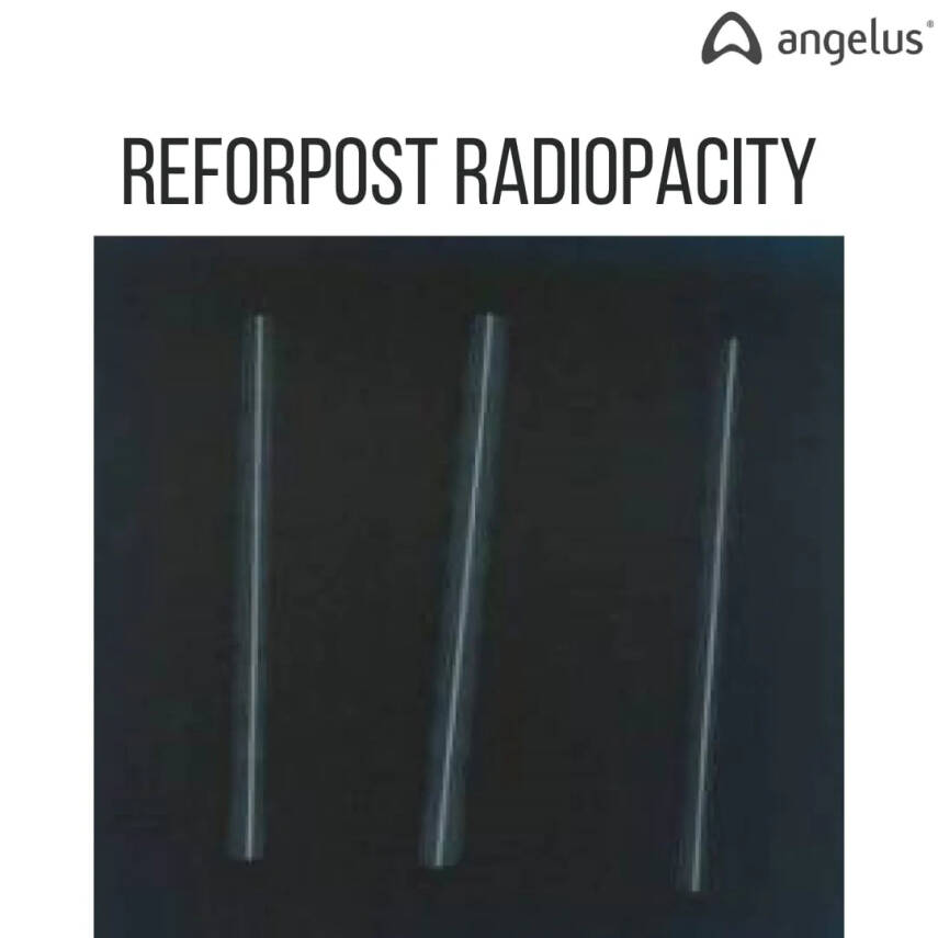 Reforpost Paralel Cam Fiber Post 5'li Drillsiz - 4