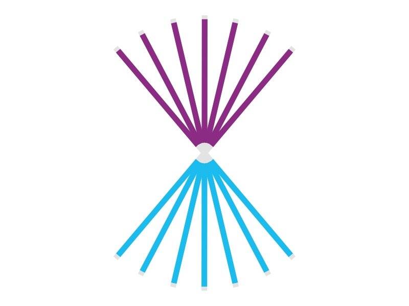 Zenit Flex Kompozit Bitirme Ve Cila Zımparası 50'li - 2